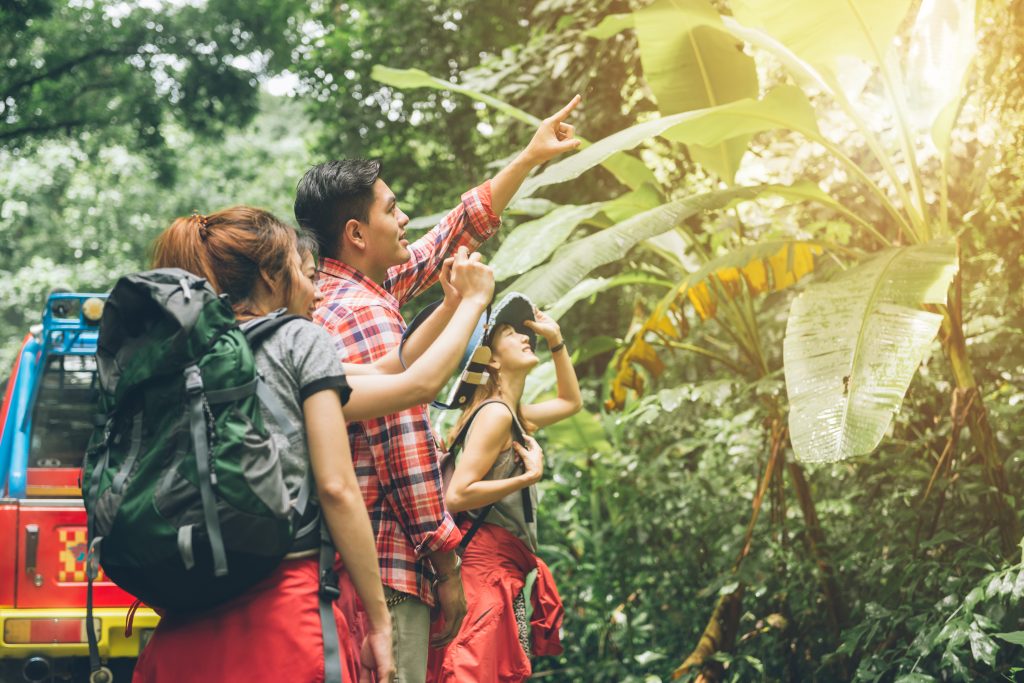 Wisata Sedang Booming! S1 Manajemen Bisnis Rekreasi Makin Dicari